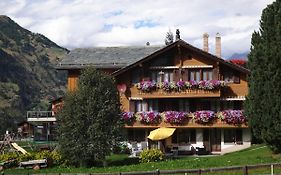 Chalet Petunia