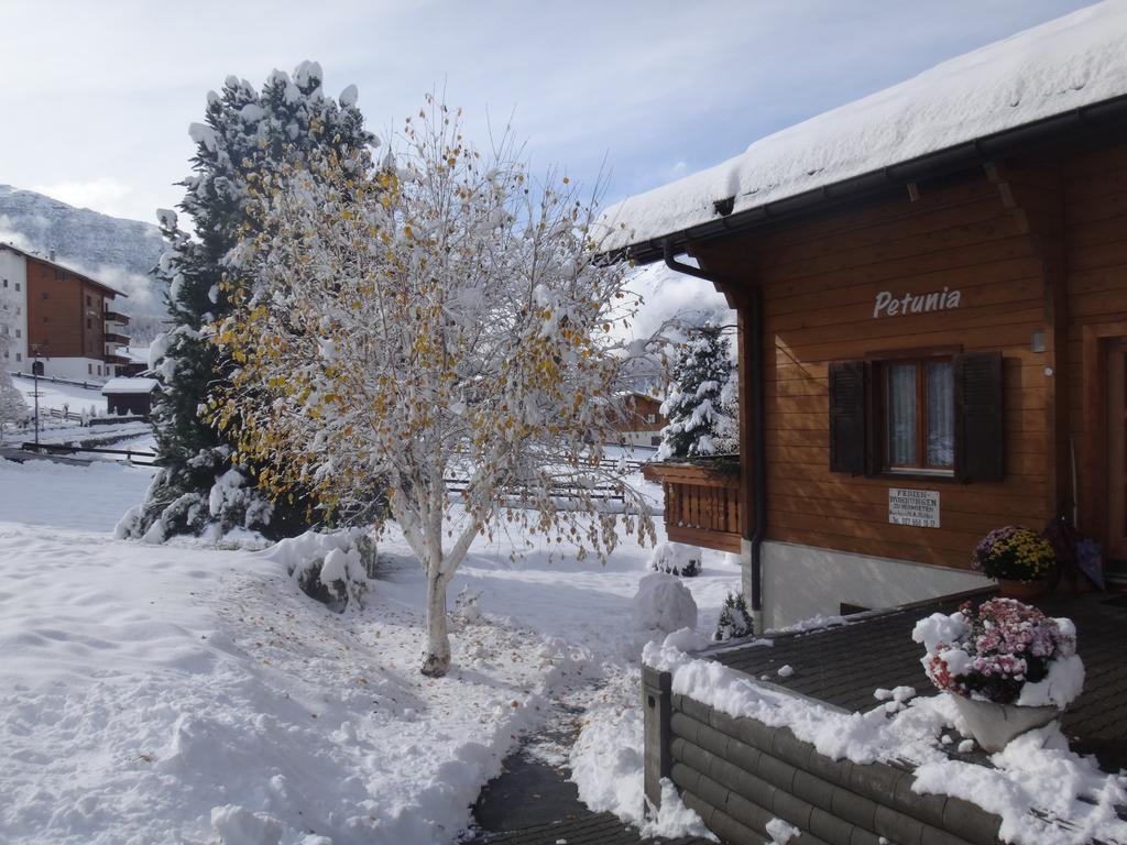 Chalet Petunia Grächen Exterior foto